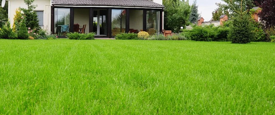 House and green shrubs behind a lush, healthy lawn in Des Moines, IA.