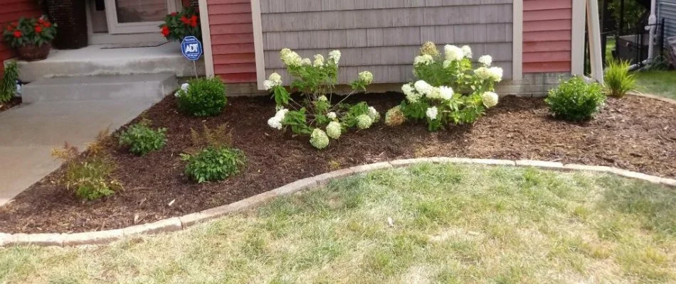 New mulch in a landscape bed in Des Moines, IA.