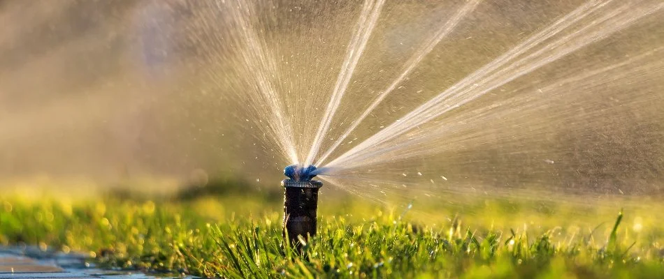 Lawn in Iowa receiving water from irrigation sprinkler head.