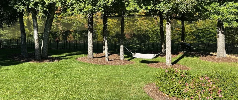 Landscape beds in Des Moines, IA, with mulch ground coverings.