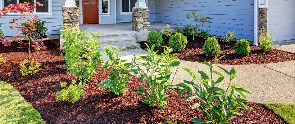 Mulched landscape beds along a walkway in Des Moines, IA.