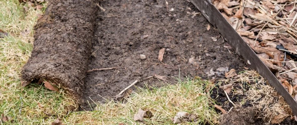 Part of a lawn in Des Moines, IA, peeled back.
