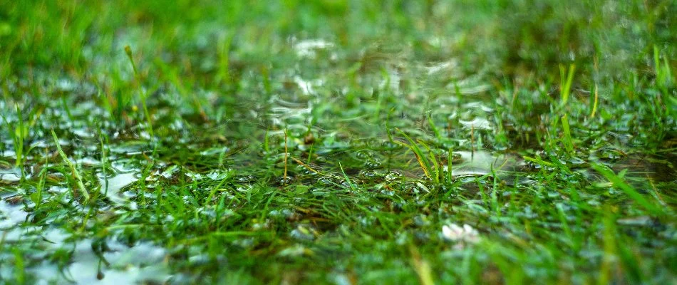 Puddle on a lawn in Des Moines, IA, due to poor drainage.