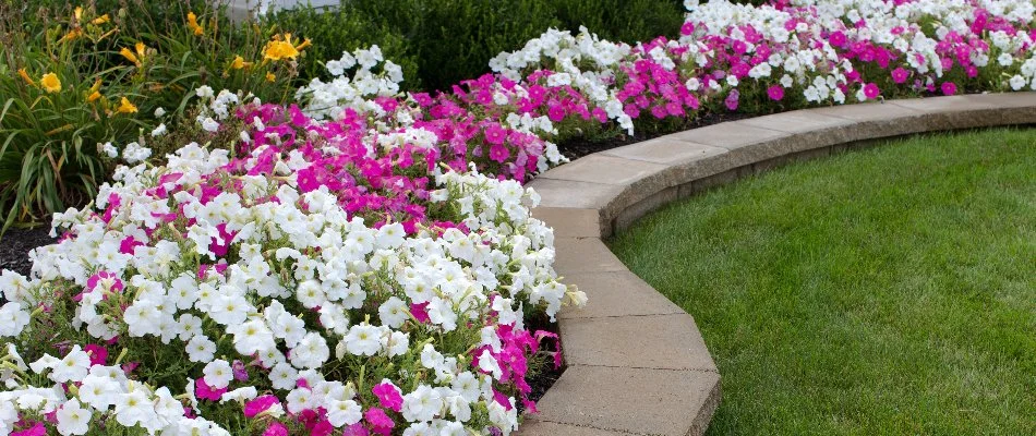 Retaining wall in Des Moines, IA, with flowers on it.