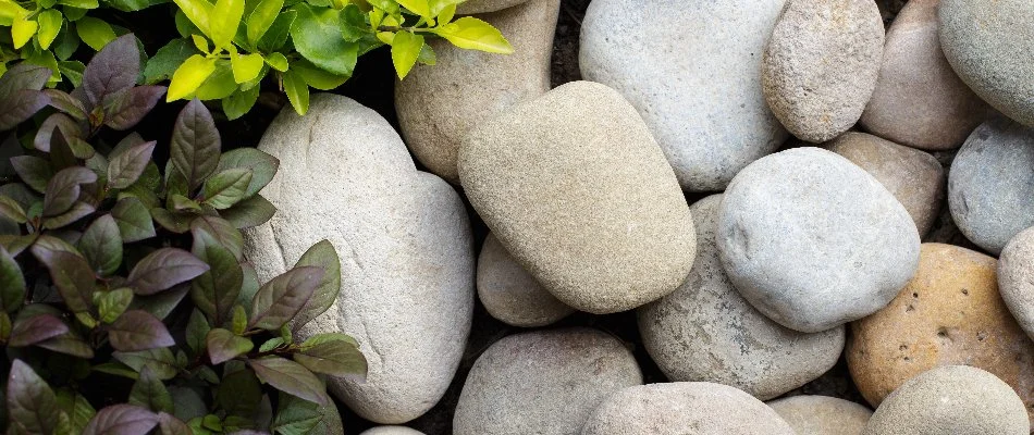 River rocks next to plant leaves in Des Moines, IA.