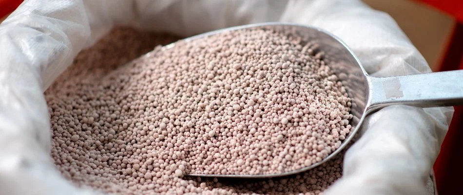 A scoop of granular fertilizer in Des Moines, IA.