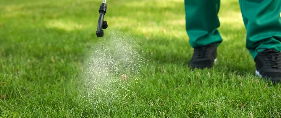 Spraying weed control treatment on a lawn in Des Moines, IA.