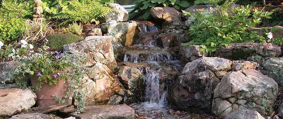 No Bugs Allowed - How to Ensure a Bug Free Water Feature