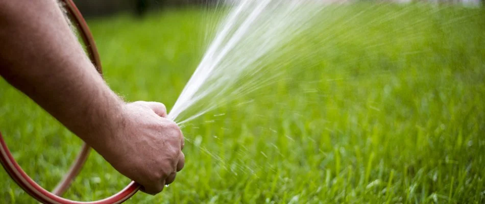 Watering a lawn in Des Moines, IA, with a garden hose.