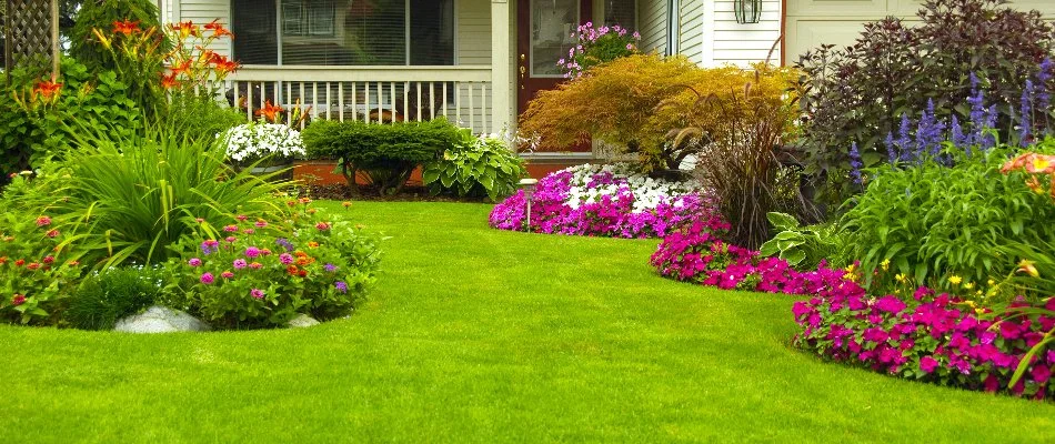 Yard in Des Moines, IA, with colorful flowers and lush plantings.