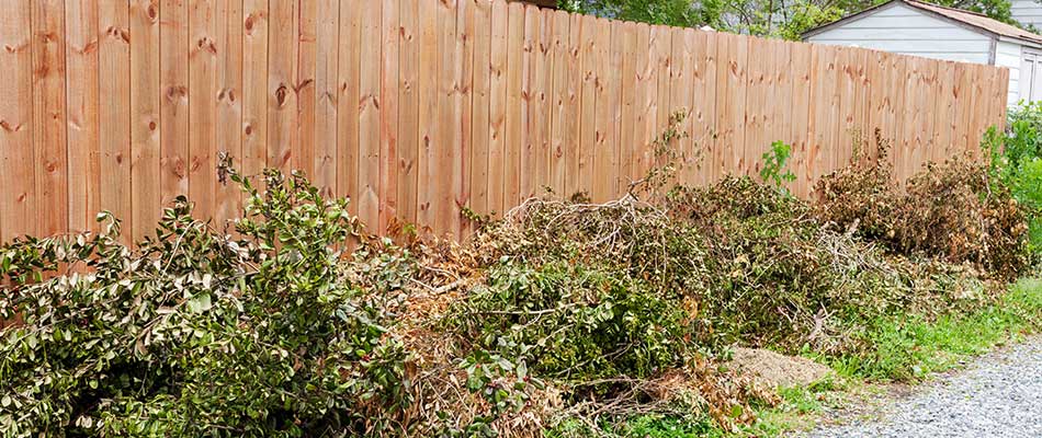 A fence lined with yard debris and tree limbs during a spring yard cleanup in Ankeny, IA.