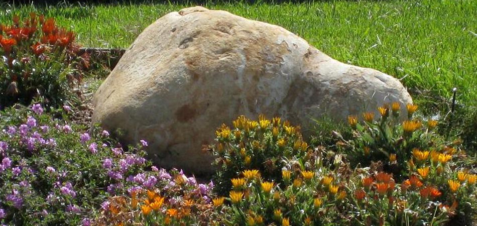 New landscaping design boulder with annual flowers at a residential property in Polk City, IA.