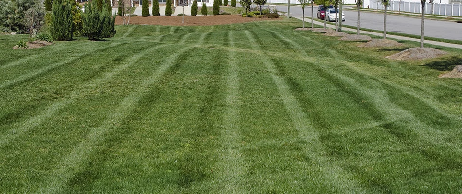 Lawn mowing stripes at a community in West Des Moines, IA.