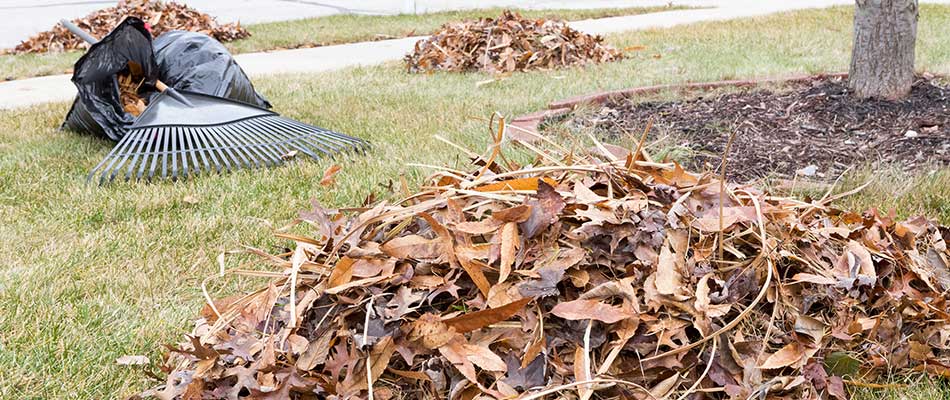 Leaves being raked and removed from a West Des Moines, IA property.