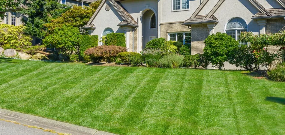Lawn and landscape at a home in Indianola that has regular lawn care services from A+ Lawn & Landscape. 