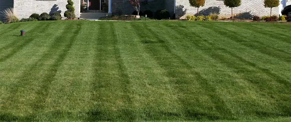 Mowing stripes on a home lawn in Des Moines, IA.