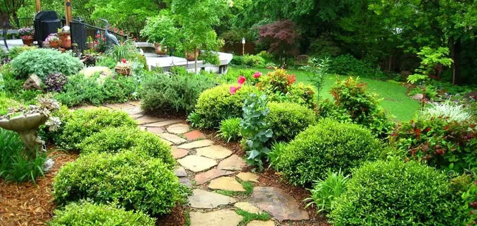 Landscaping that has been properly fertilized and maintained with a stone walkway that was constructed in West Des Moines, IA.