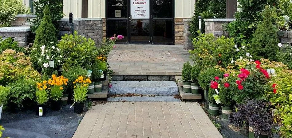 Shrubs and plants for sale at the entrance to our garden center in Des Moines, IA