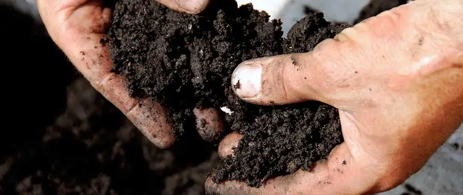 Why We Recommend Soil Testing for Our Customers
