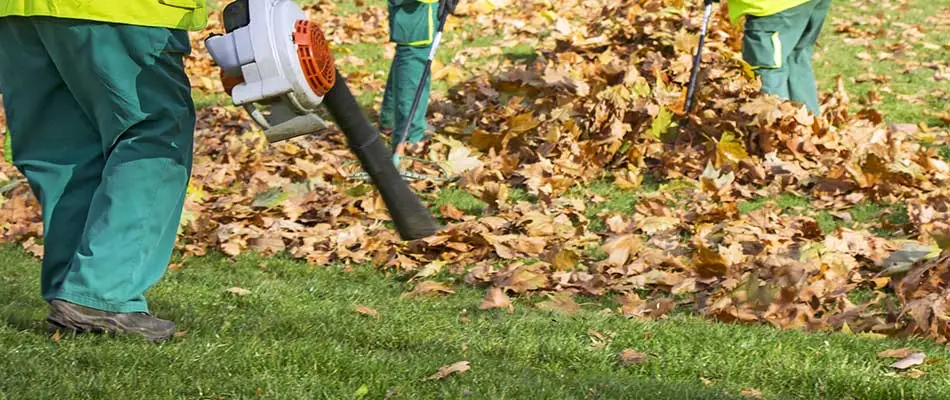 Winter Landscaping Care: Protecting Your Landscaping Investments