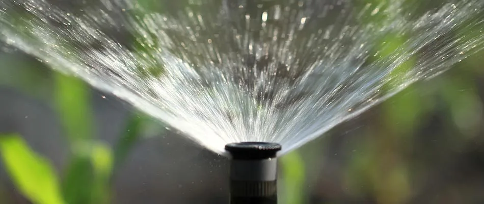Spring Startup for Your Irrigation System: Waste of Money or Worth It?