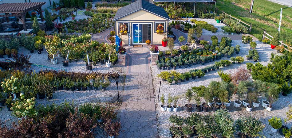 Aerial view of the A+ Lawn & Landscape Garden Center with perennial shrubs and trees.
