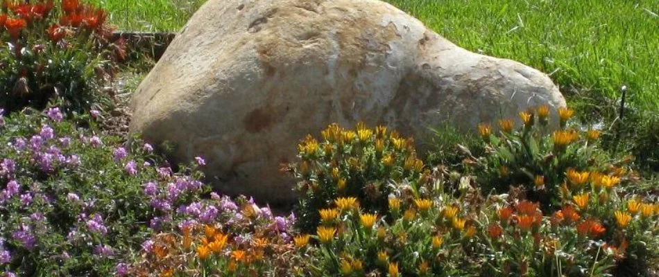 Landscape in Cumming, IA, with boulder and colorful flowers.