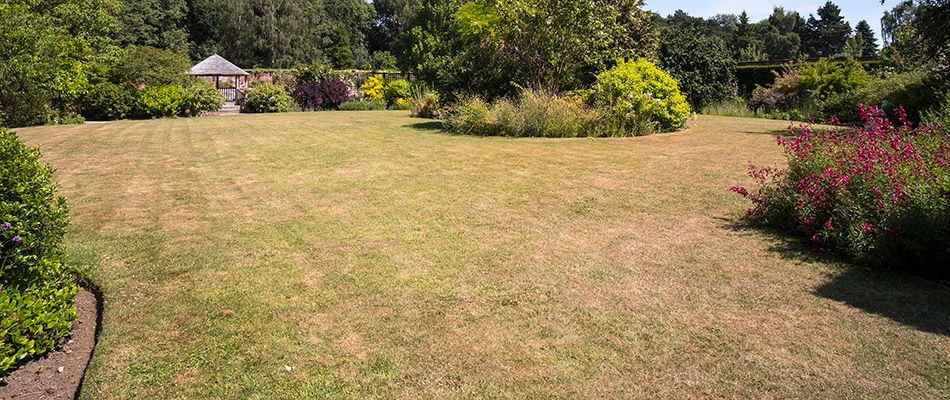 A backyard of dying grass in need of a lime treatment in Hartford, IA.