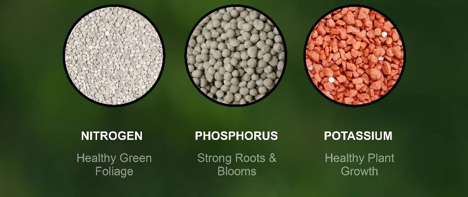 Graphic of nutrients found in lawn fertilization.
