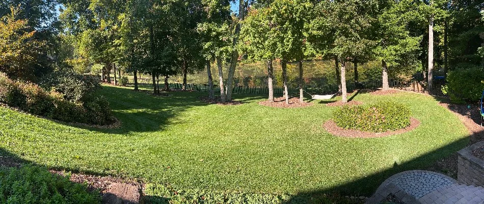 Healthy lawn on a property in Des Moines, IA.