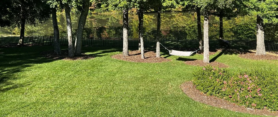 Green lawn in Runnells, IA, with shrubs and trees.