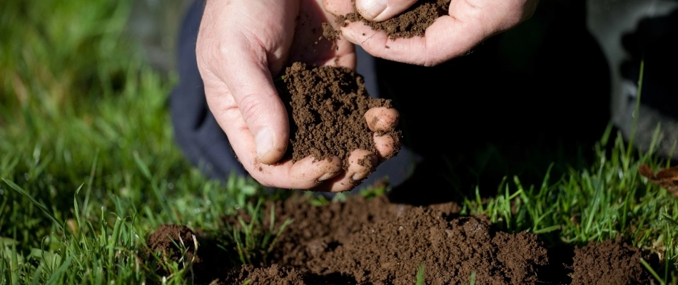 Hands showing soil in lawn in Urbandale, IA.