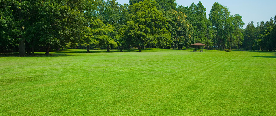 A healthy green lawn due to regular lime treatments in Pleasant Hill, IA. 