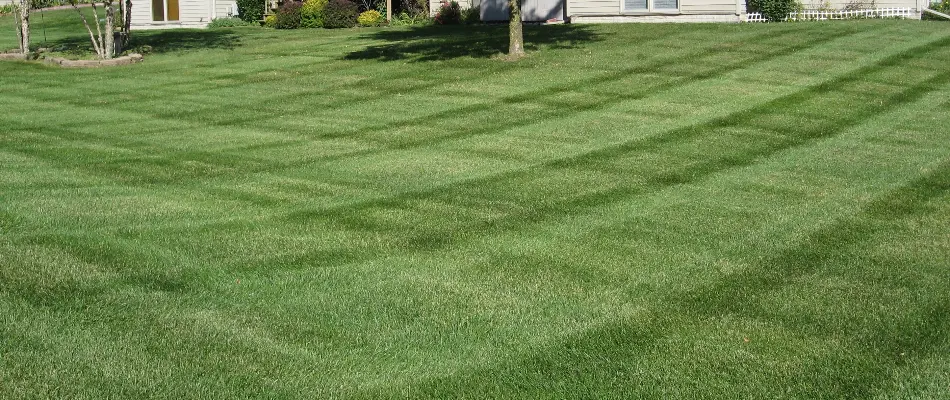 Lawn after fertilization with stripes on a property in Des Moines, IA.