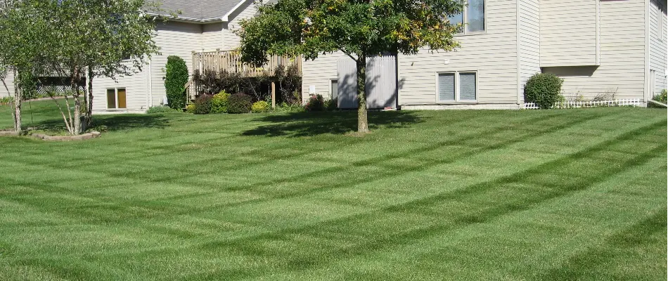 Healthy lawn with mowing stripes on a property in Des Moines, IA.