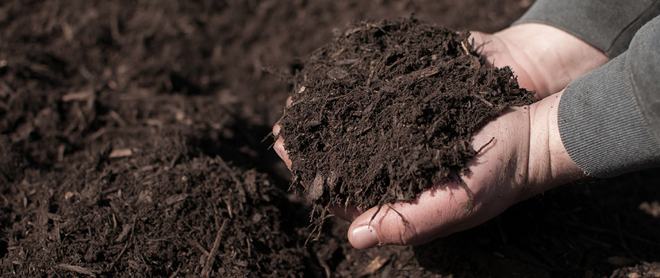 Our landscape professional replenishing mulch on a property in Grimes, IA.