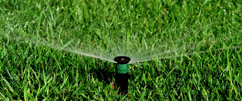 Irrigation sprinkler watering lawn in Windsor Heights, IA.