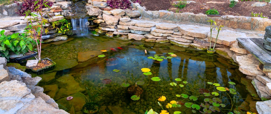 Koi pond water feature installed for landscape in Des Moines, IA.