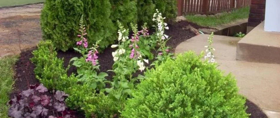 Landscape bed in Runnells, IA, with mulch, shrubs, and flowers.