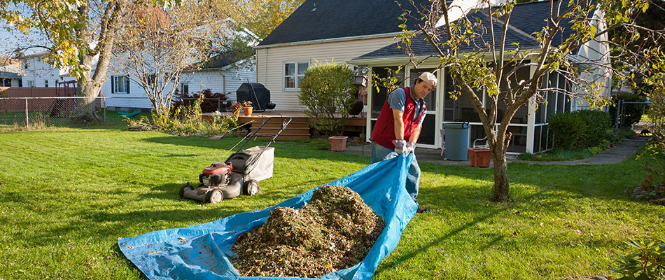 Professionals performing a fall clean up service in Adel, IA.