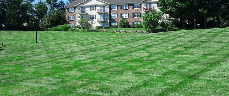 Mowed lawn for an HOA property in Des Moines, IA.