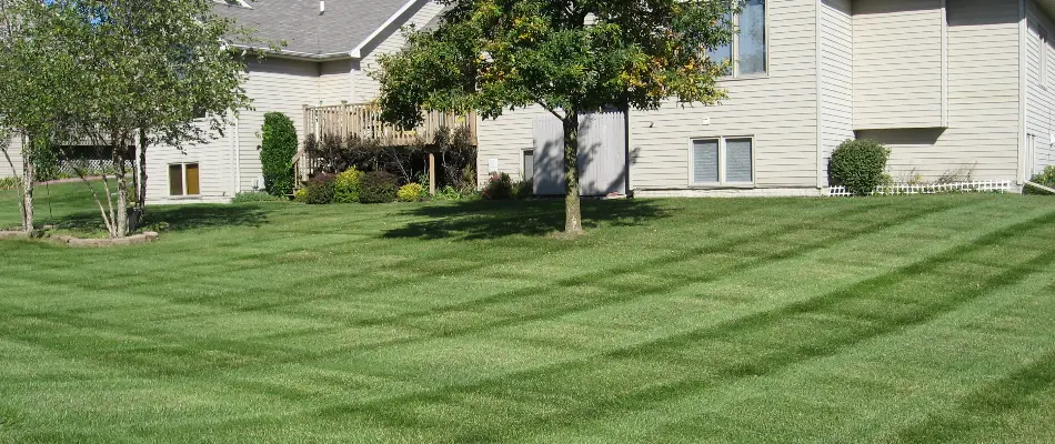 Freshly mowed lawn in Prairie City, IA, with trees and shrubs.