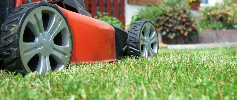 A mower in a lawn in Des Moines, IA.