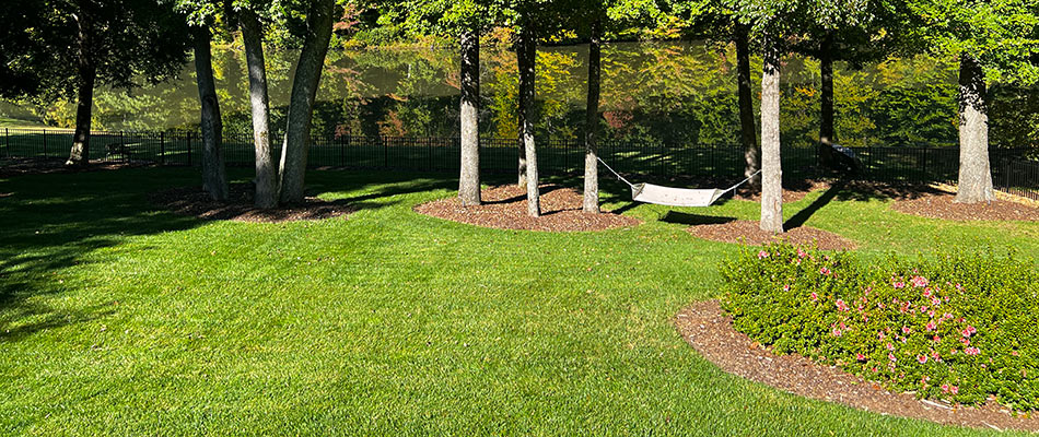 Mulch added to landscaping in Urbandale, IA.