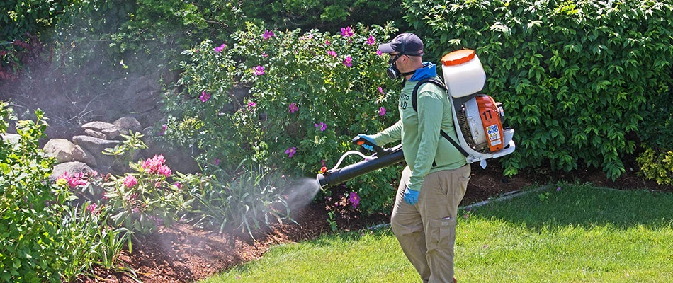 Professional with backpack fogger applying mosquito control to landscape in Altoona, IA.