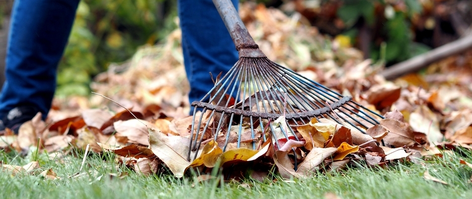 Our client in Waukee, IA preparing her lawn for winter dormancy by raking up leaves.