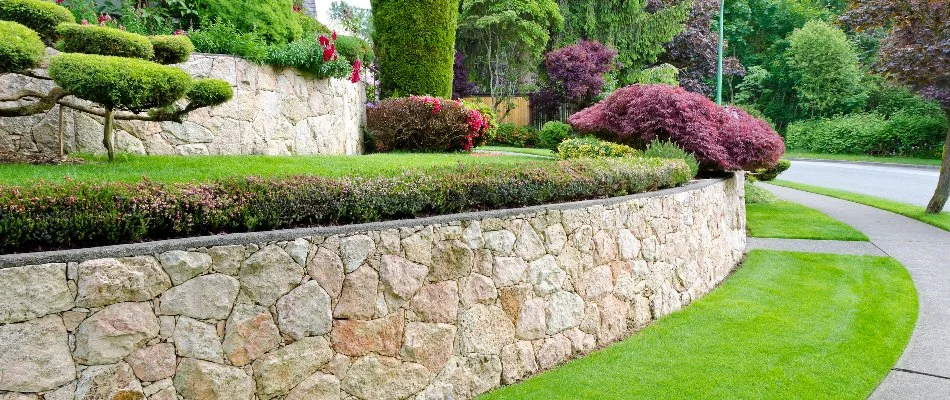 Retaining wall with plants on top in Des Moines, IA.