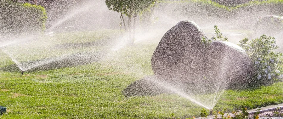 Sprinkler heads watering grass and plants in Runnells, IA.