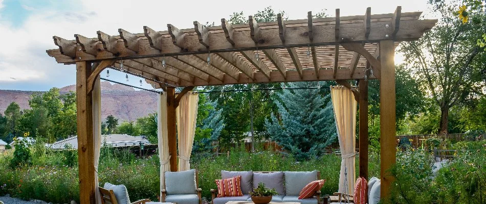 Trees around a pergola in Des Moines, IA.