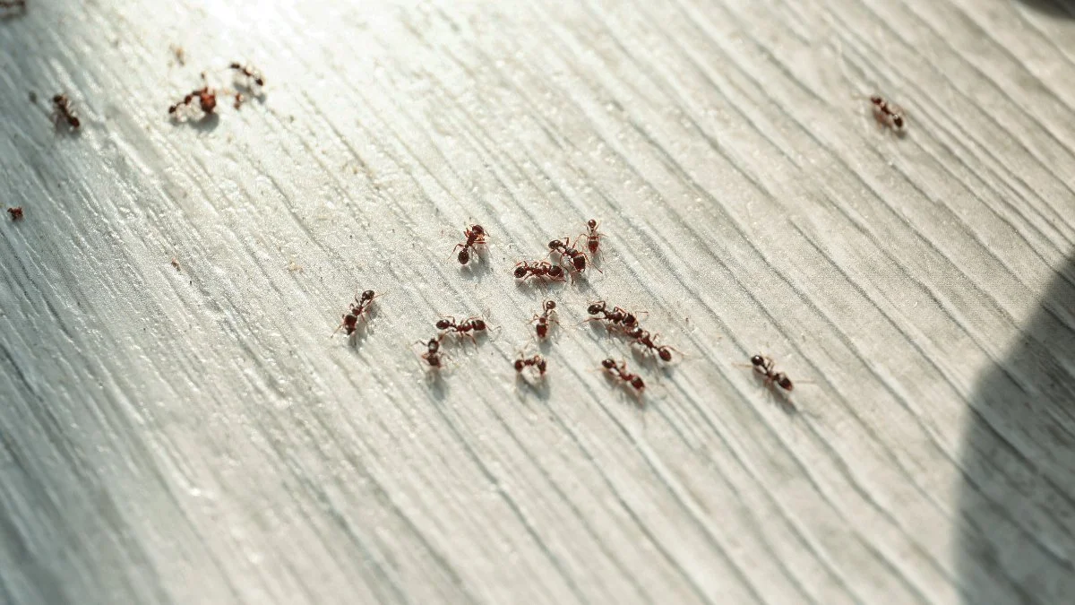 Our tech repairing an irrigation system in Des Moines, IA.